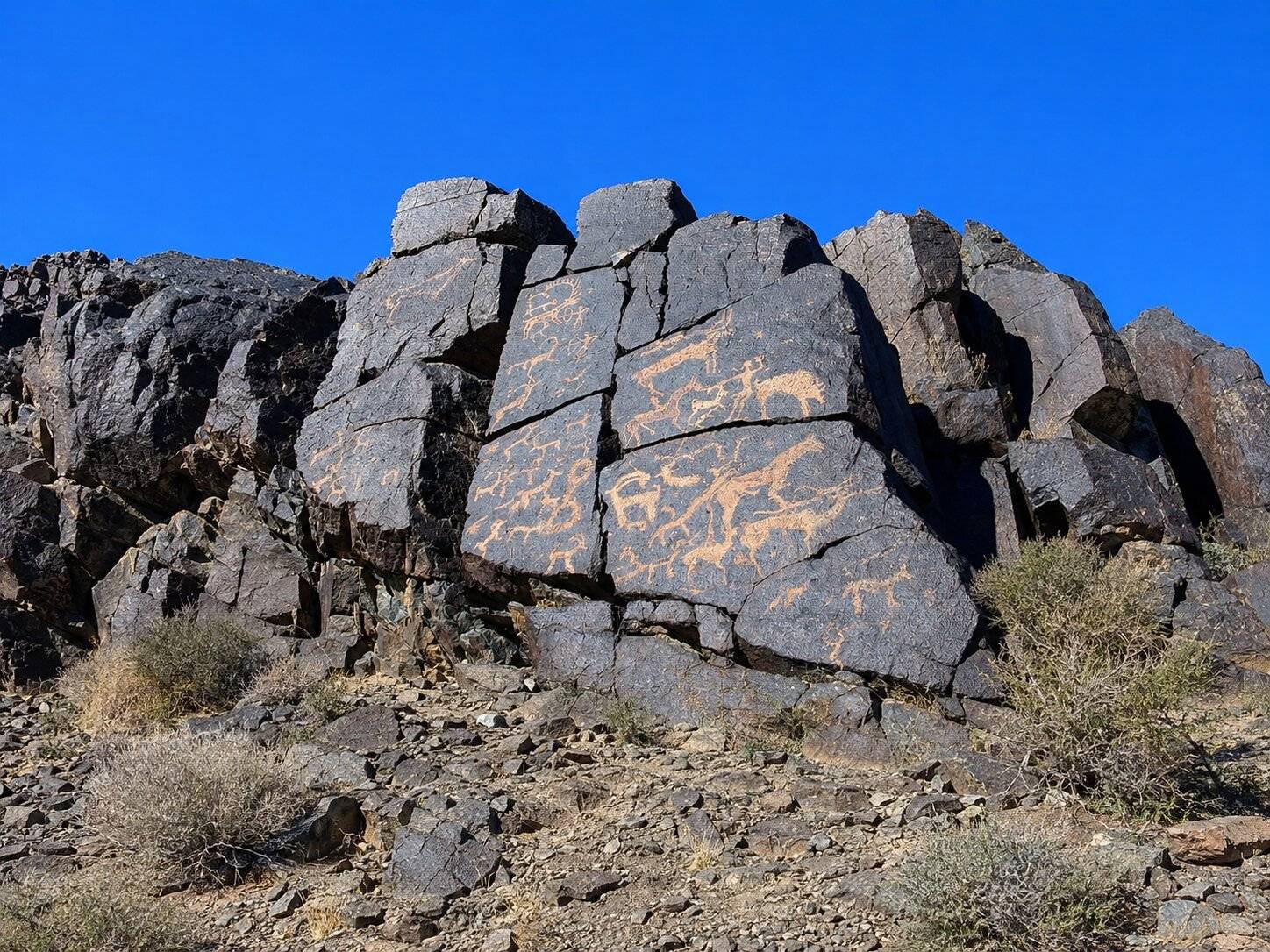 Ancient Petroglyphs Mongolia