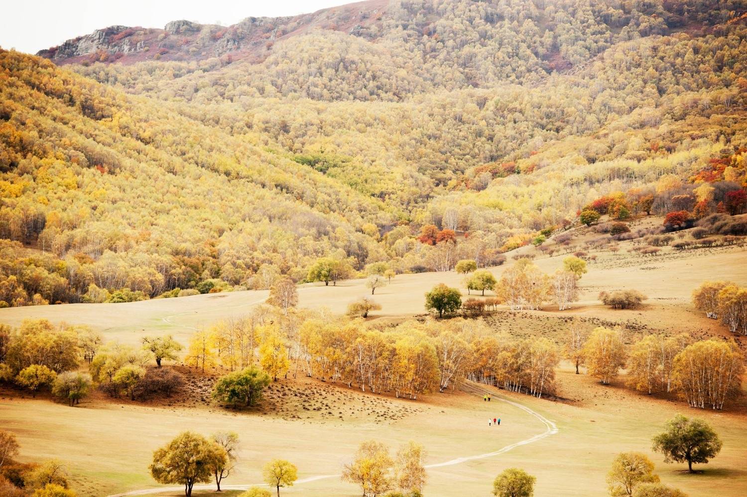 Autumn in Mongolia