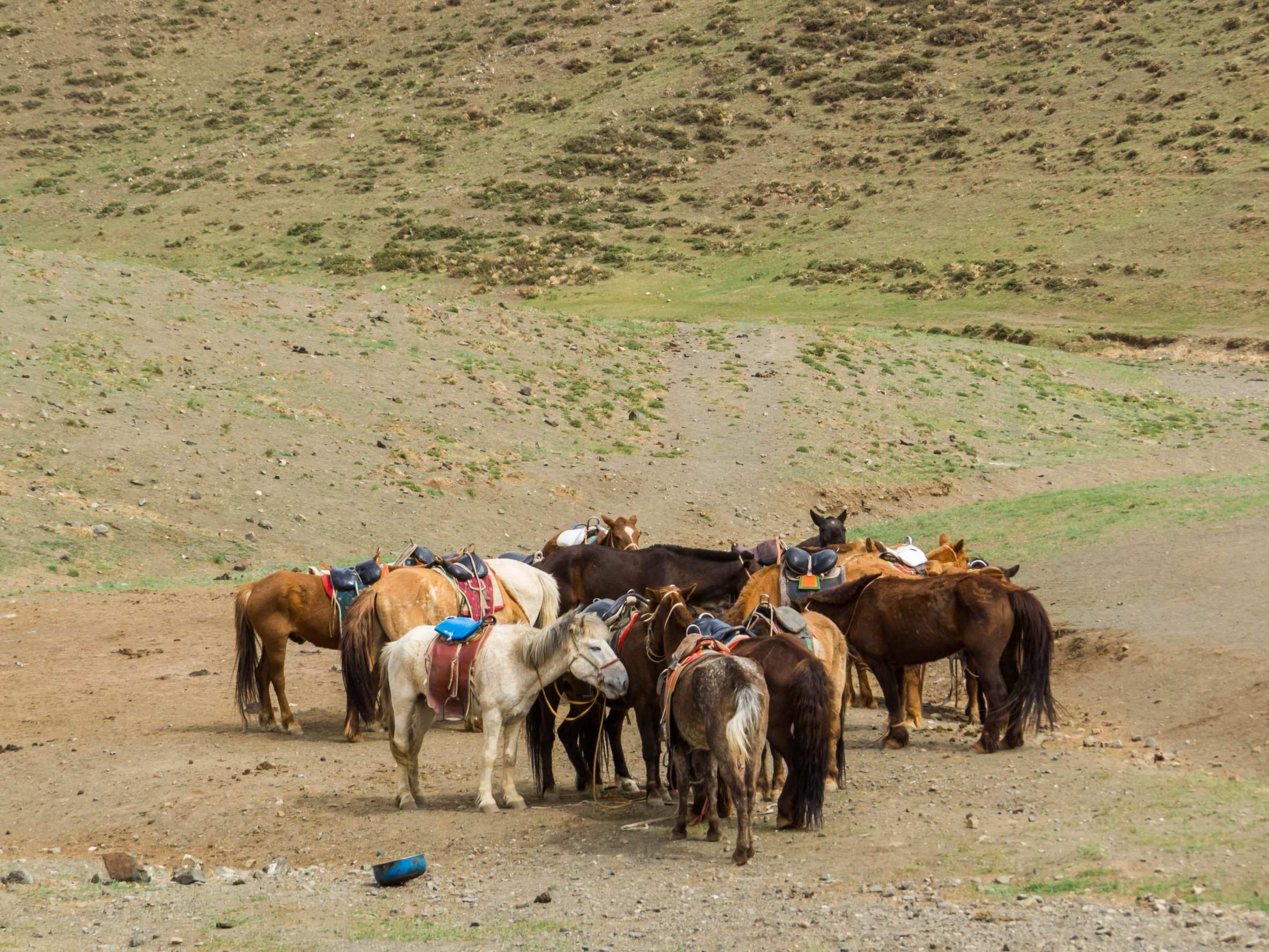 Gobi Gurvansaikhan National Park