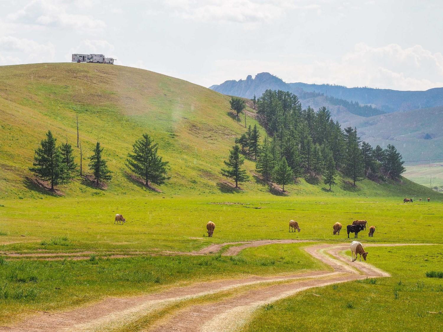 Gorkhi Terelj National Park