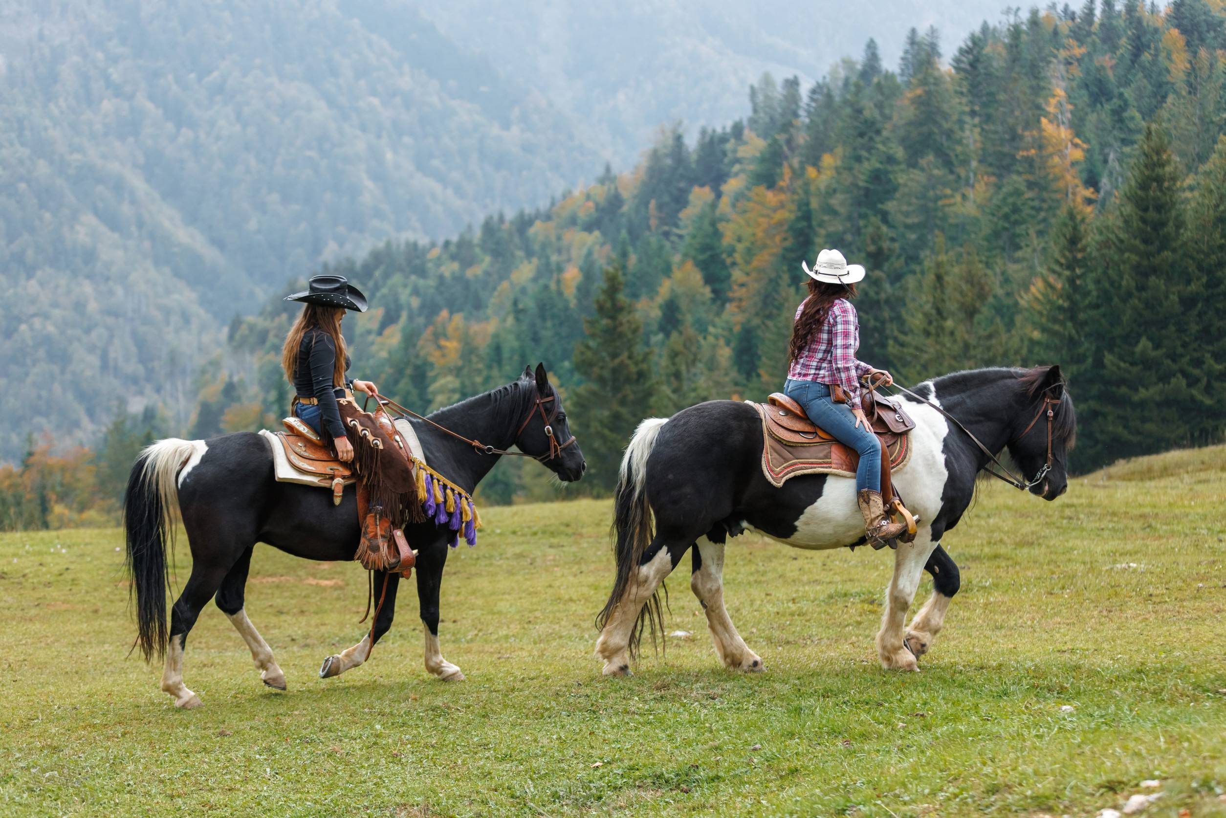 Horseback riding adventure package in Mongolia