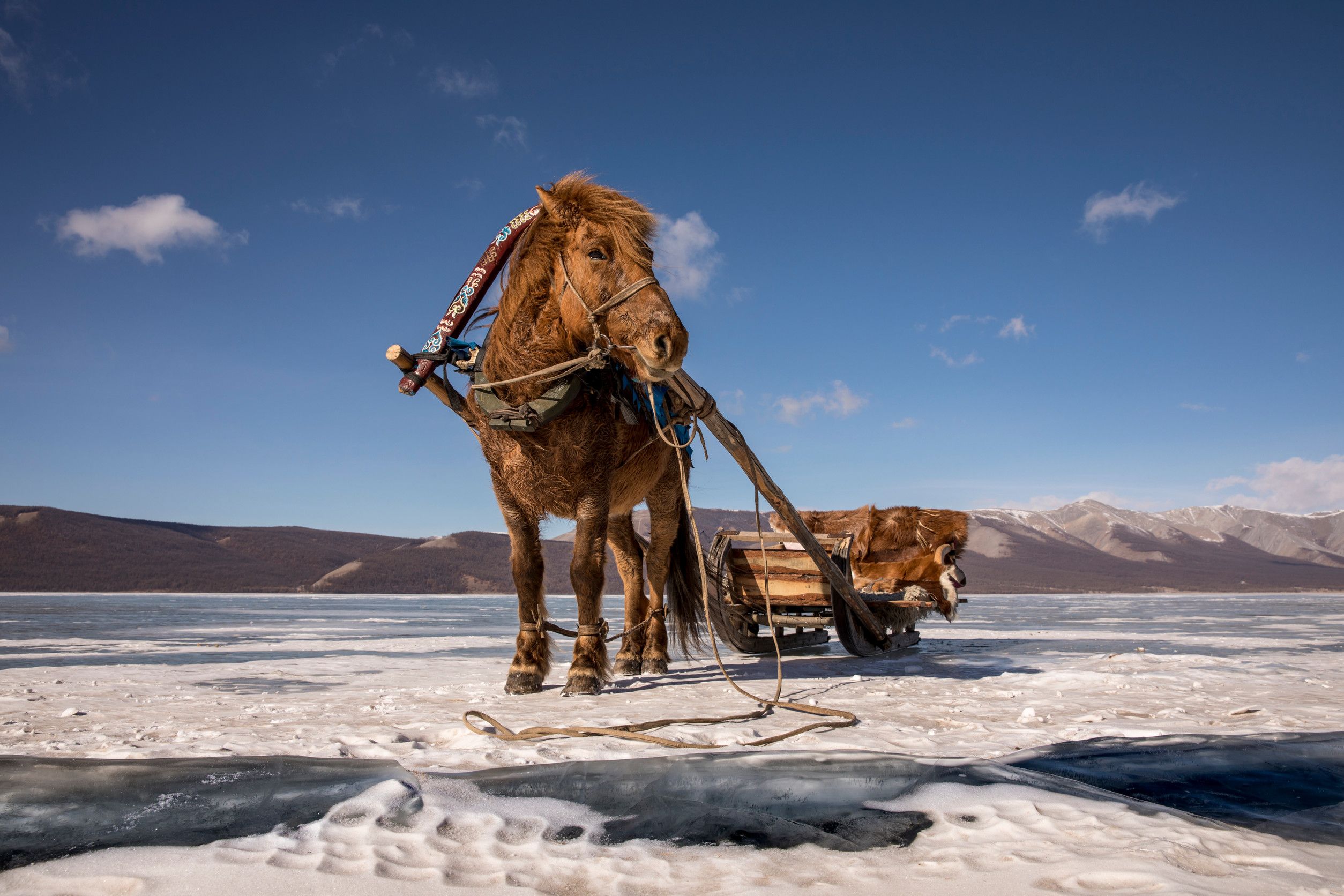 Is A First Trip To Mongolia Worth