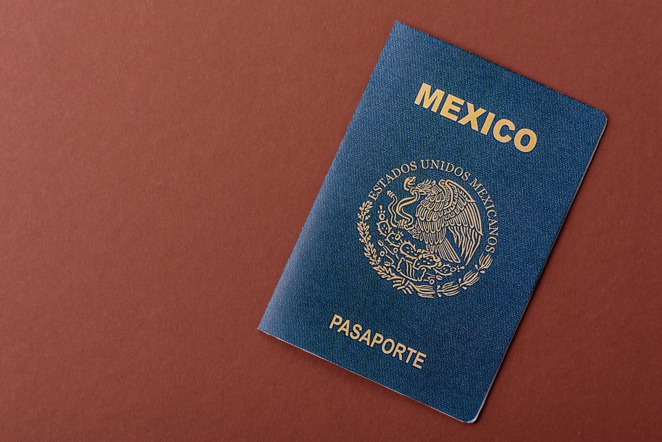 Mexican Passport