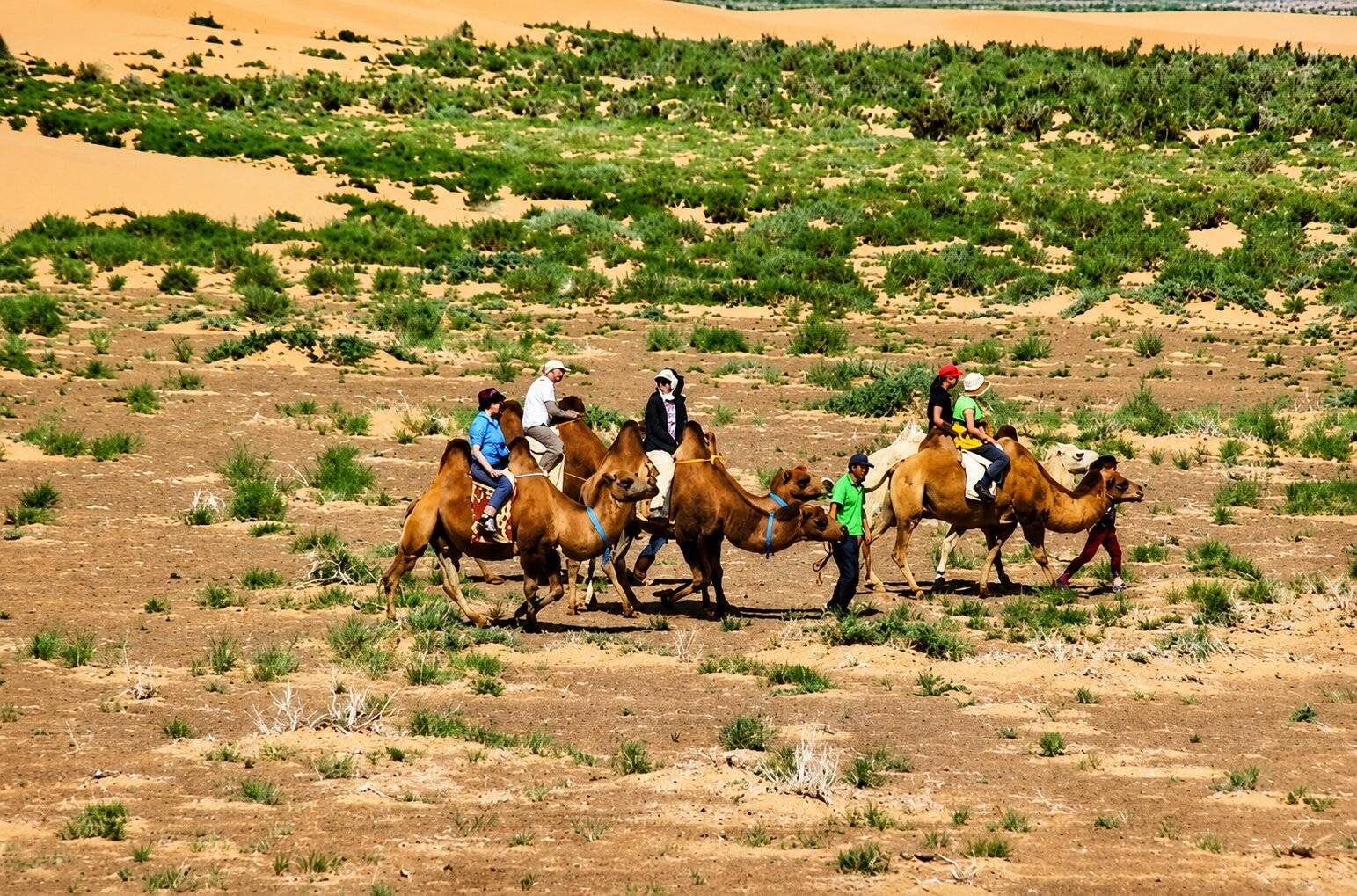 Moltsog Els Sand Dunes Of Gobi Desert Mongolia