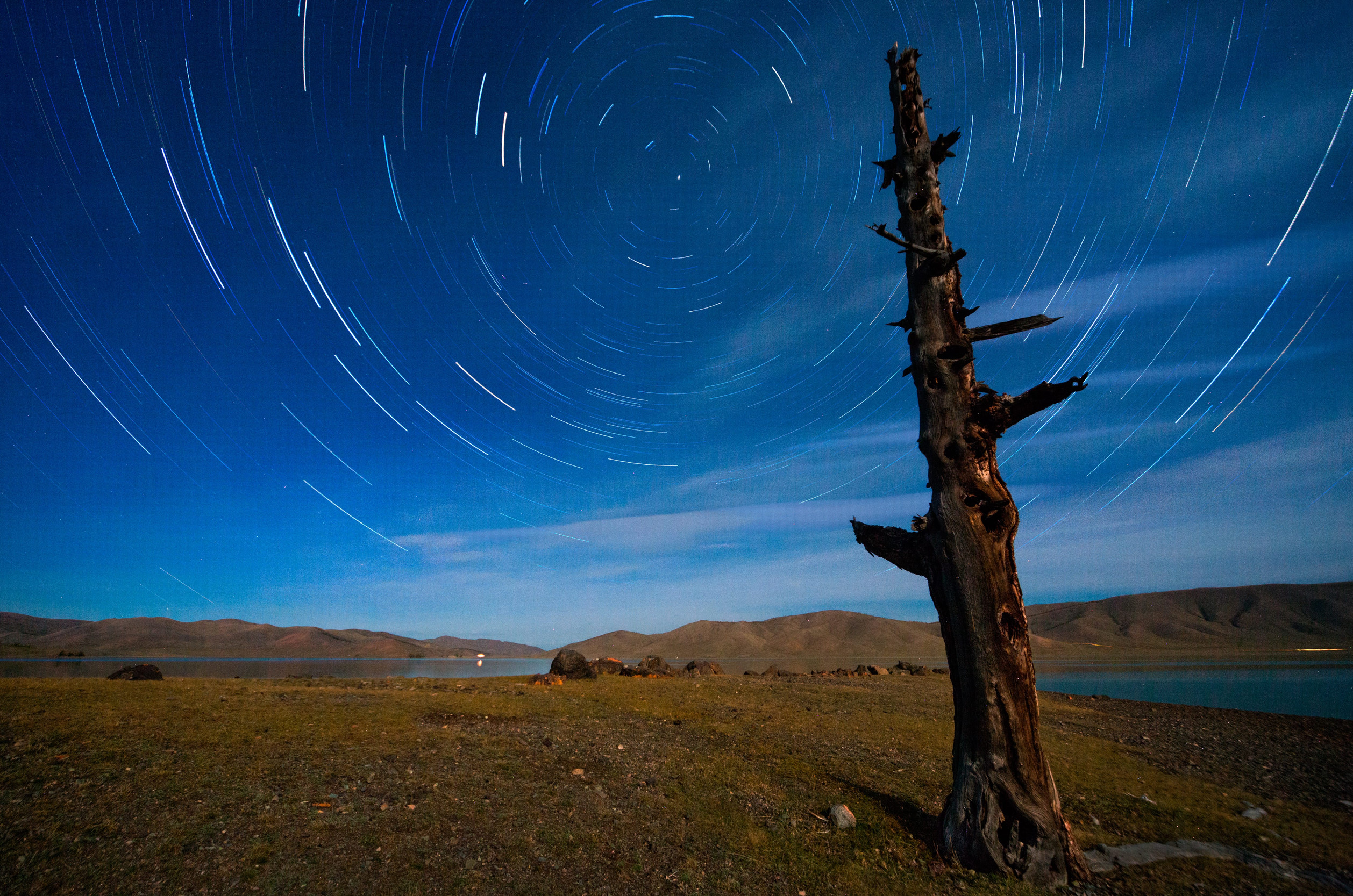 Night landscape timelapse of a tree in Mongolia