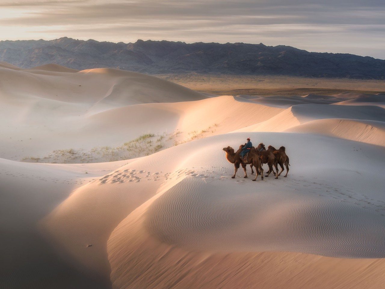 Gobi Desert Expedition