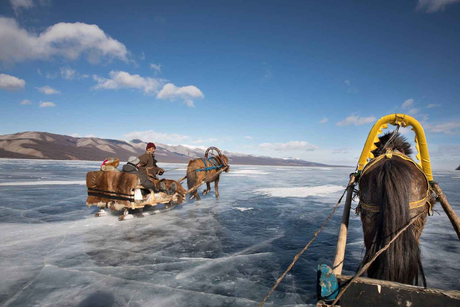 Sledge Ride On An Ice Lake During The Khuvsgul Ice Festival
