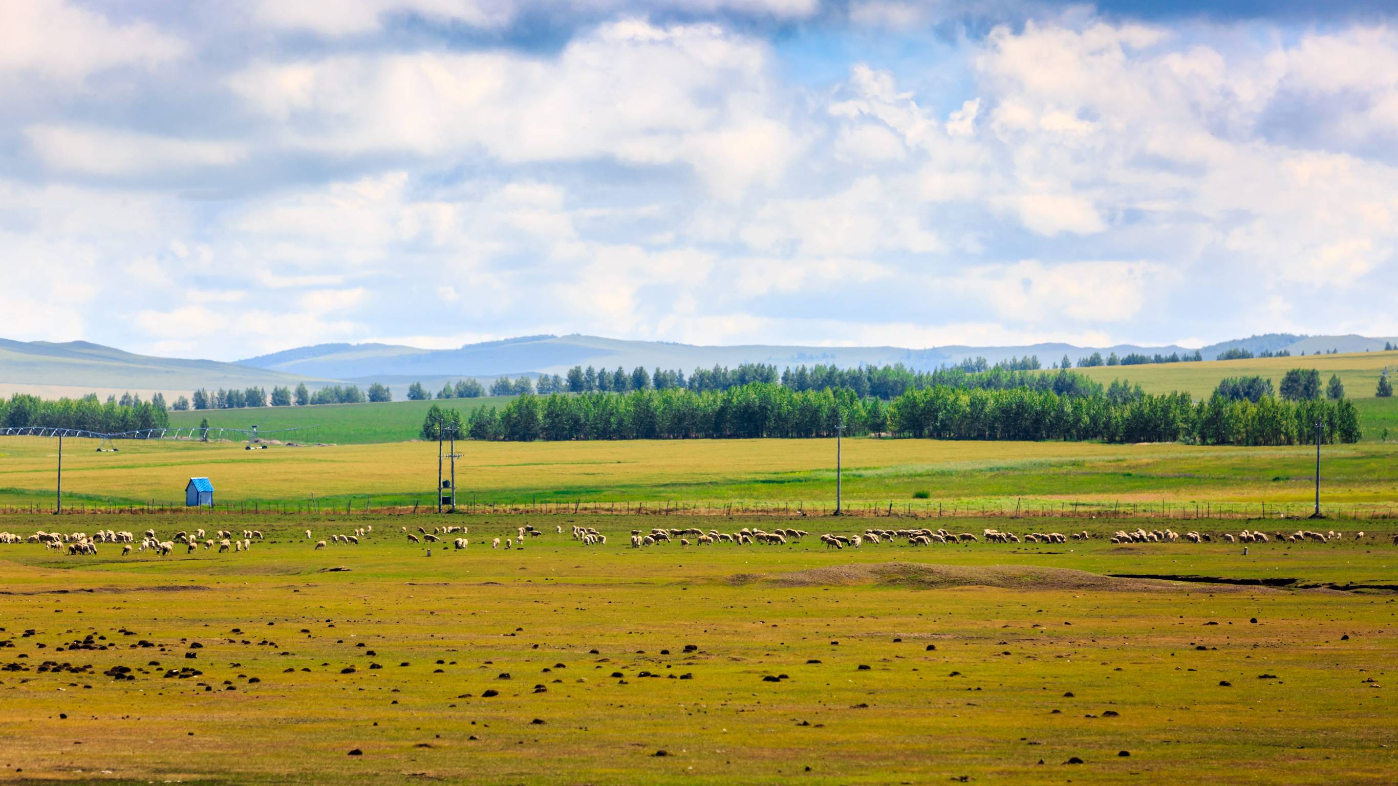 Spring In Mongolia
